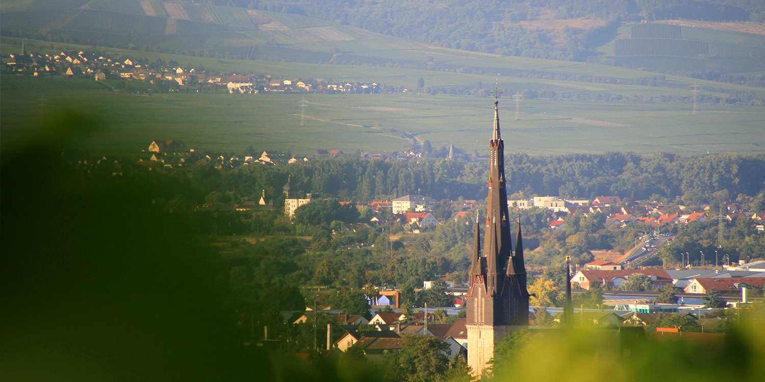Rothenberg Zuschnitt
